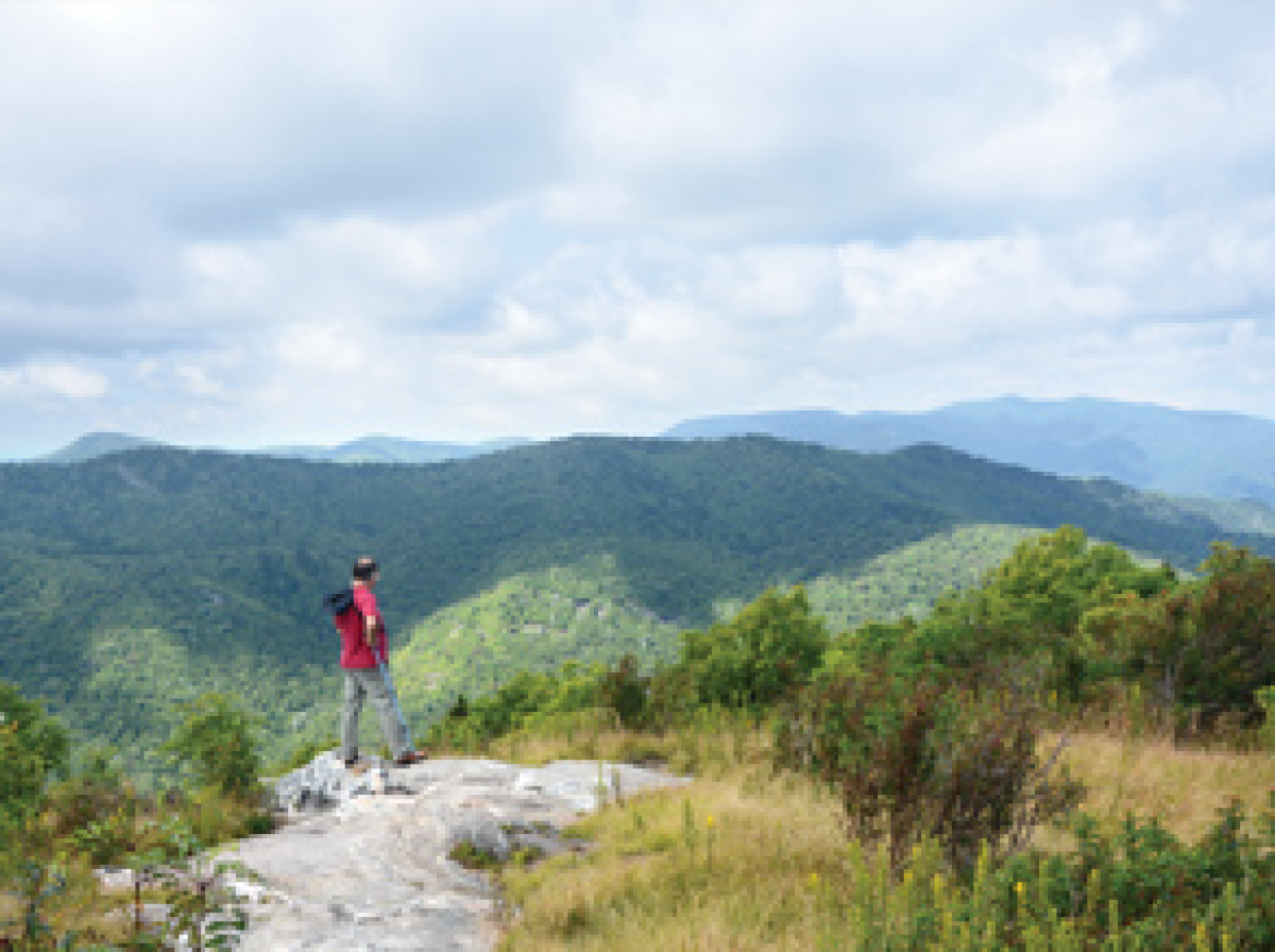 Forest management plan now final