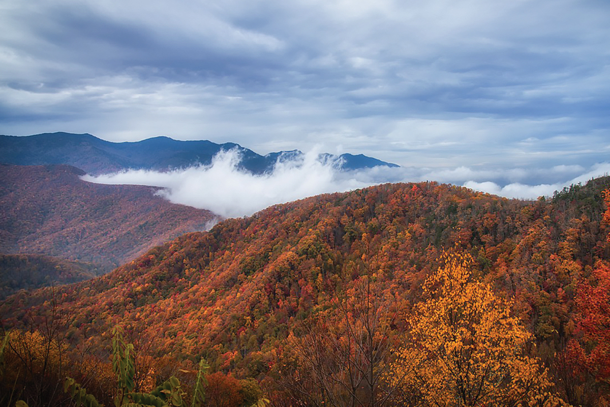 Pisgah National Forest covers more than 500,000 acres.