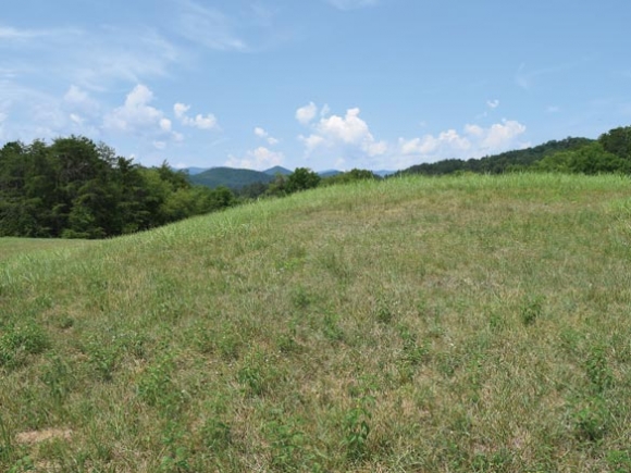 Protecting the past: Mounds hold key to understanding Cherokee history