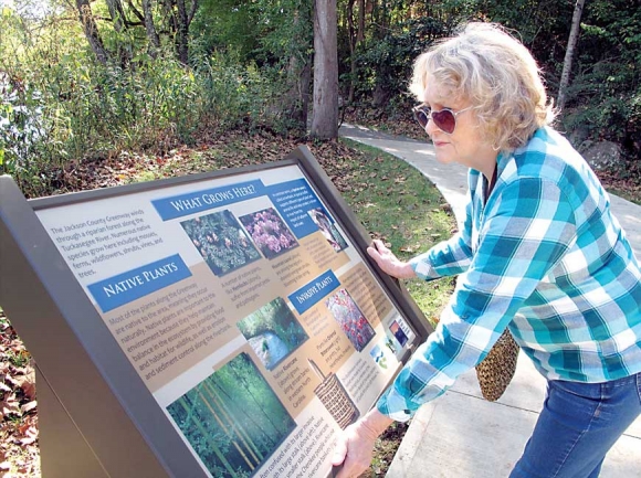 Nell Knight, a frequent greenway walker, stops to read a wayside sign describing native and invasive plants. Donated photo