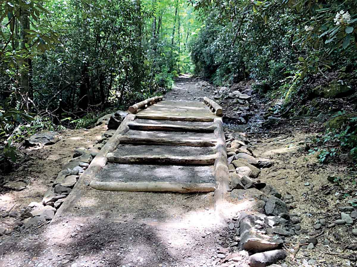 The Big Creek trail is again open following a rehabilitation project. Donated photo
