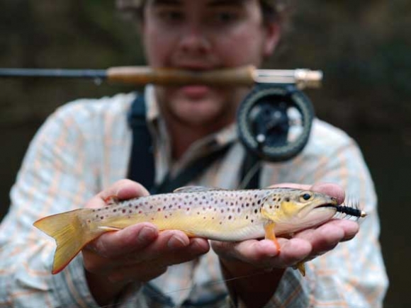 Anticipated Trout Capital designation likely to spur fly fishing tourism