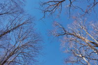 This must be the place: ‘Oh, that we could always see, such spirit through the year’