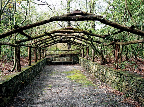 Haywood Community College’s campus arboretum has been growing for 50 years. Donated photo