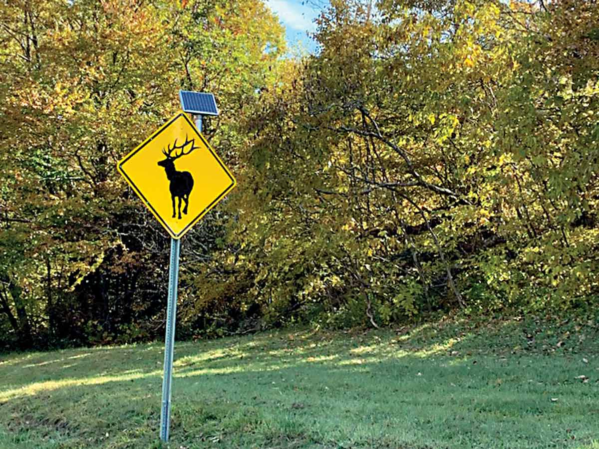 NCDOT put six signs up and down the Haywood County side of Soco Mountain to let drivers know there may be elk in or near the roadway. 
