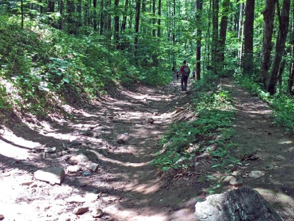 Pursuing the Pinnacle: Mountain bikers push to create new trail system in Sylva