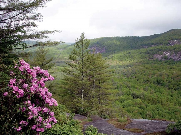 Panthertown Valley near Cashiers.