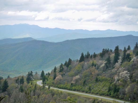 Input sought on Waterrock Knob planning