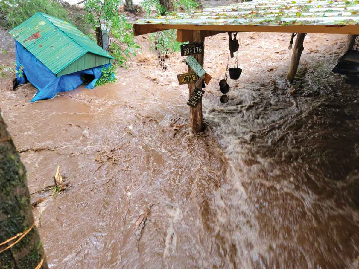 This image was captured by Ben Wilson from the tree as flood water raged beneath him. Ben Wilson photo