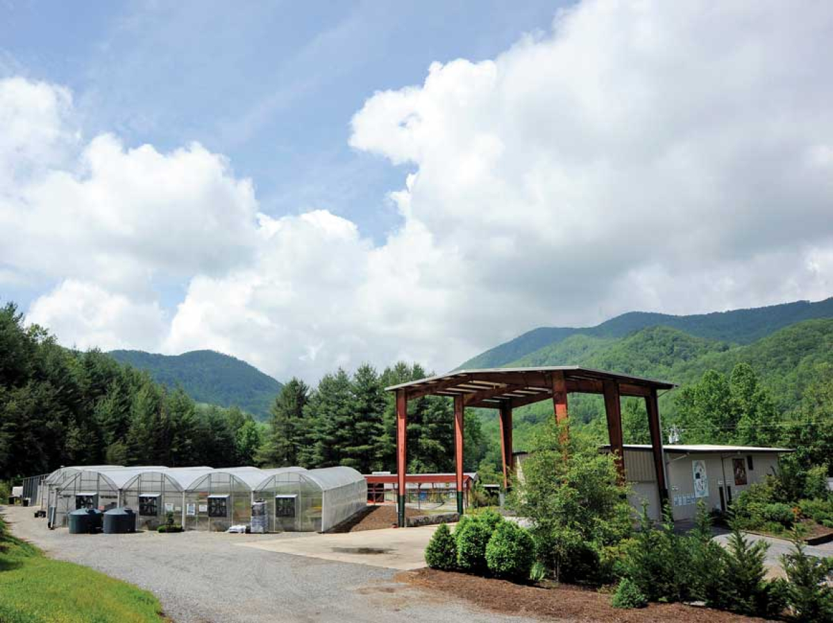 Green Energy Park returns to normal hours