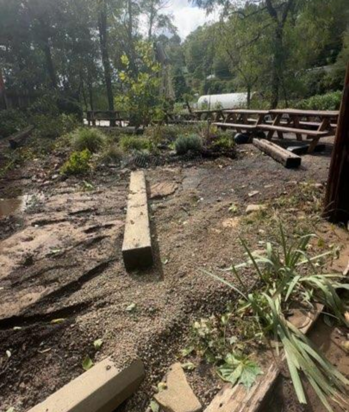 The beer garden at Frog Level Brewing following Hurricane Helene.