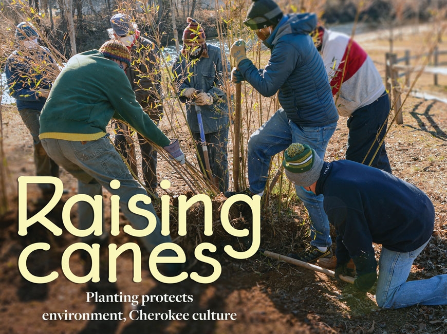 Raising canes River cane project protects environment, Cherokee culture