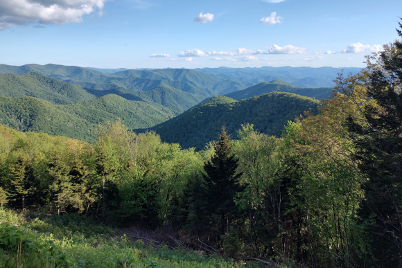 The Blue Ridge Parkway. Garret K. Woodward photo