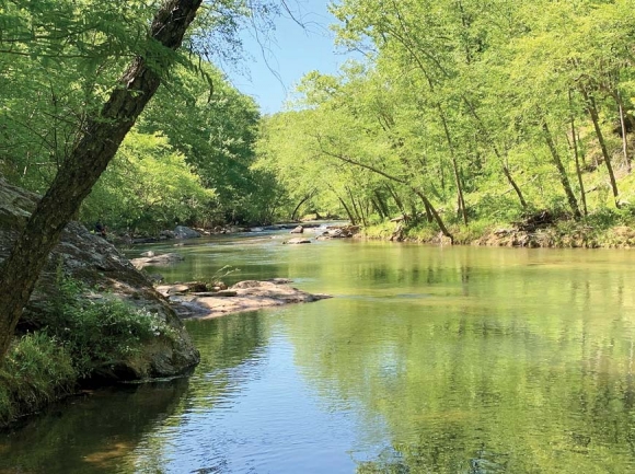 The North Fork Catawba River has 2,300 feet of frontage in the newly conserved property. Foothills Conservancy staff photo