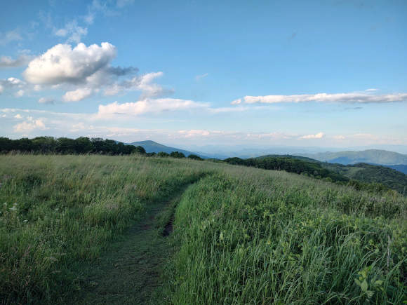 The top of Max Patch.