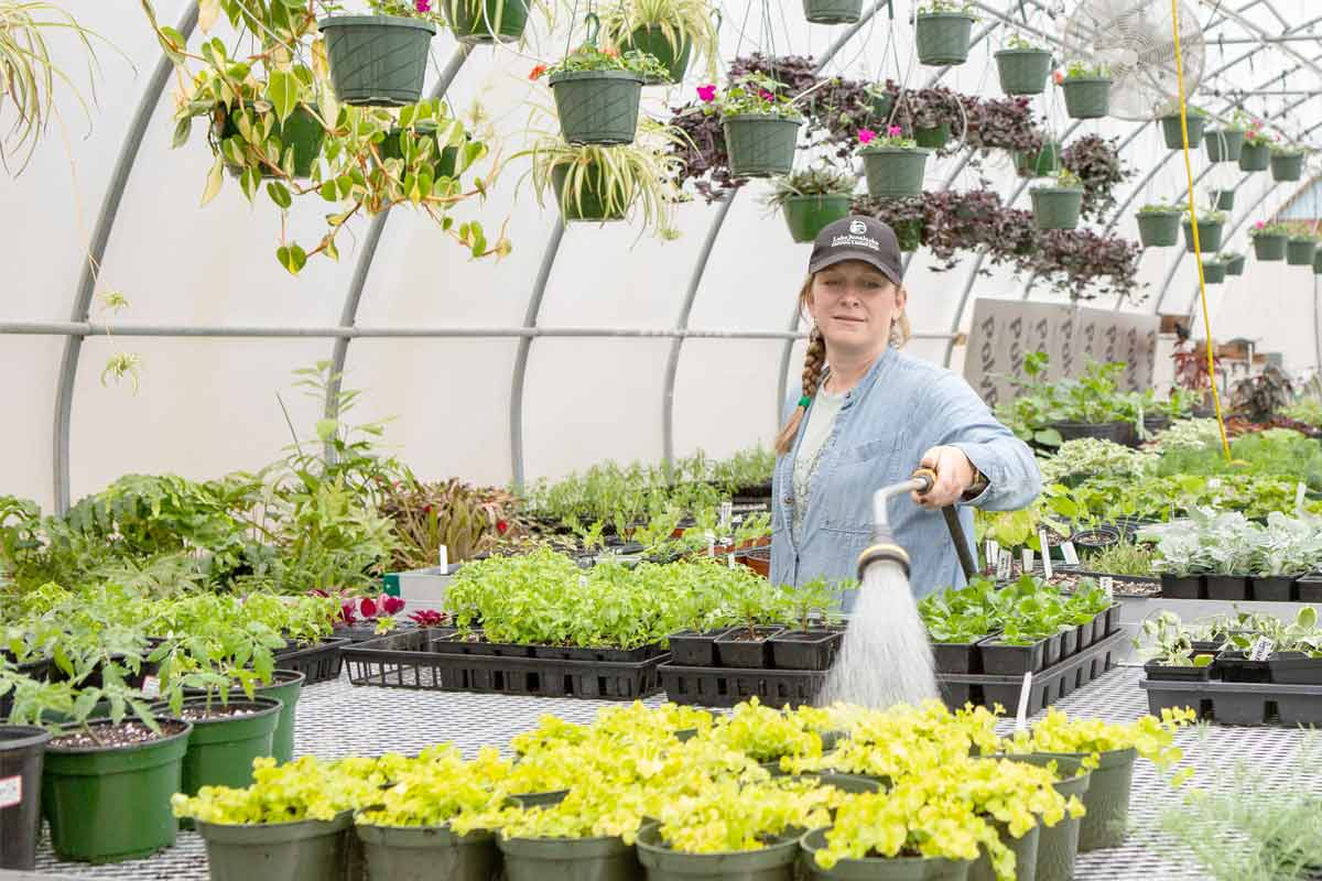 Pick your plants at Lake Junaluska