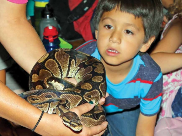 Mountain Wildlife Outreach programs give kids the chance to see wildlife up close. Donated photo