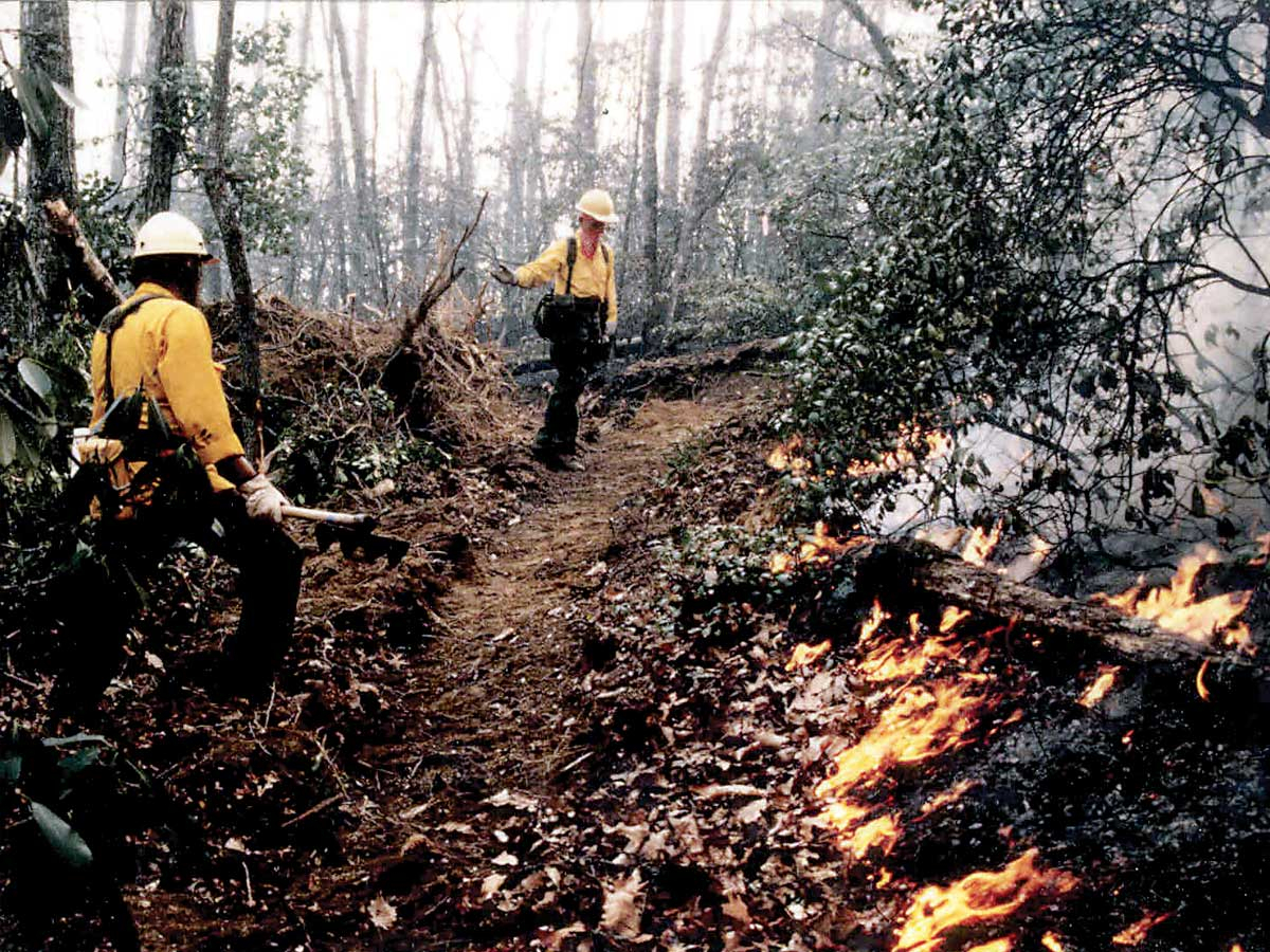 Firefighters work on a prescribed burn. USFS photo