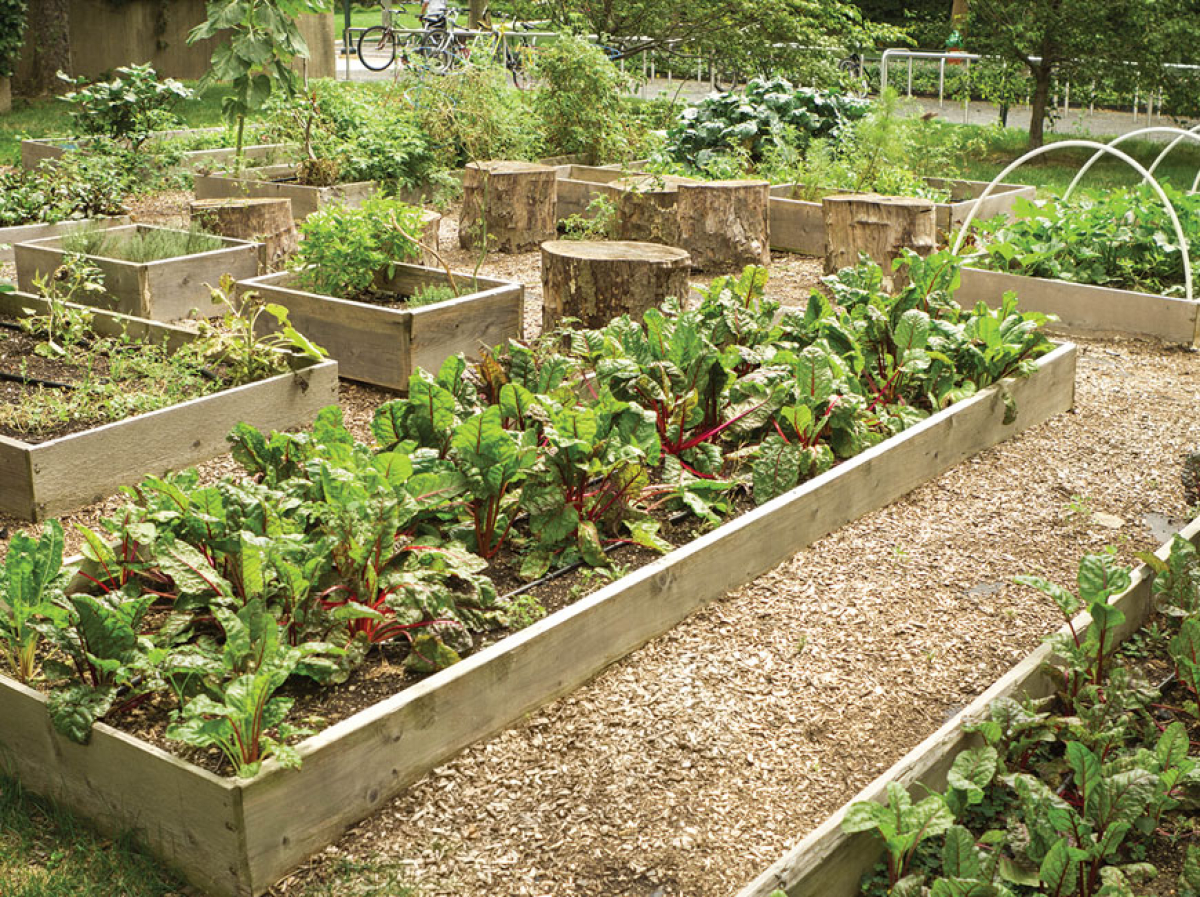 Interested in healthy gardening?
