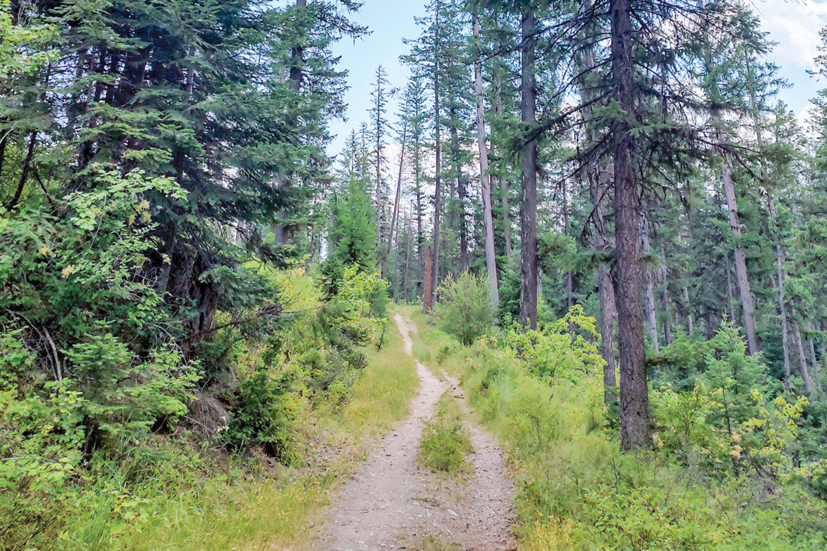 Trail running is a sport of endurance and exploration of the human body in motion in the depths of nature, both physically and spiritually. 