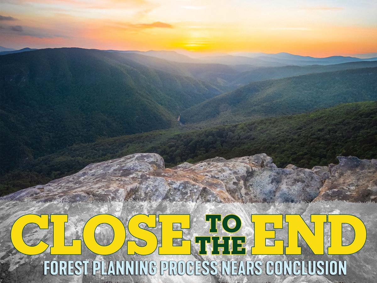 ‘A Herculean feat’: Forest Service aims to satisfy objections in last round of plan revisions