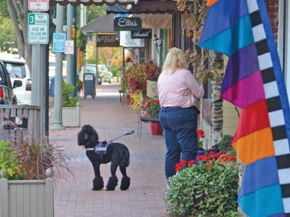 Waynesville aldermen throw dogs a bone