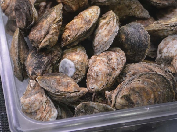 Mountains to sea: Wicked Fresh Seafood & Meat Market