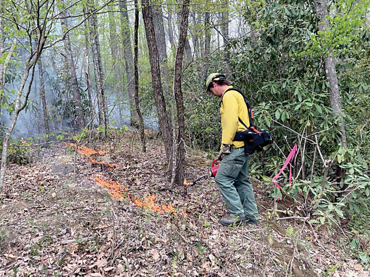 Pisgah wildfire nearing full containment