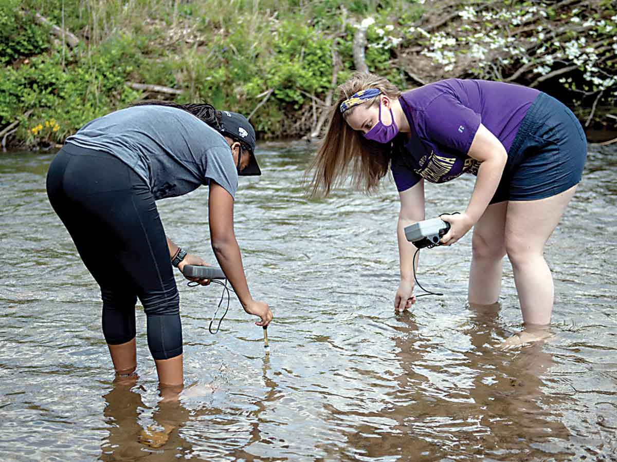 Environmental health students take readings from a nearby creek. WCU photo