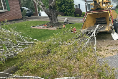 Partner content: Family-owned Haynes Tree &amp; Excavation brings trusted tree and land services to WNC