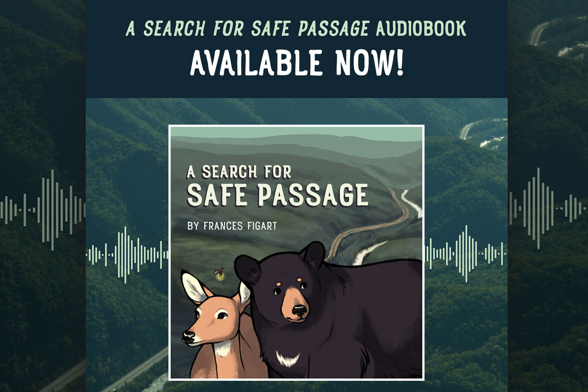 ‘A Search for Safe Passage’ will be Smokies Life’s first audiobook. Donated photo