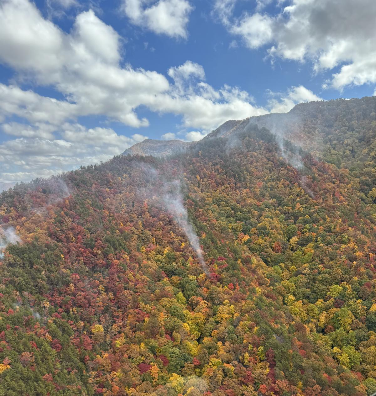 Tendrils of smoke rise through trees on Collett Ridge. USFS photo 