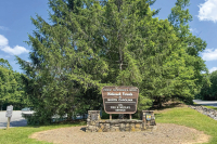 2025 A Look Back: Hold my beer award