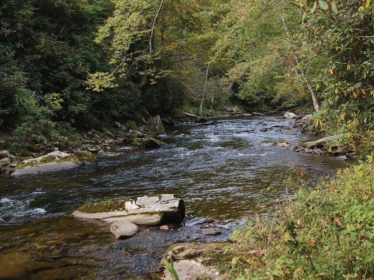 Many holes feature views of Raven Fork, which runs along the property’s boundary. Holly Kays photos