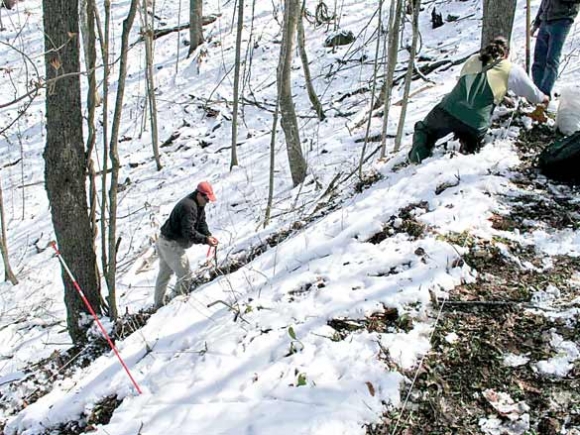 Going forward by looking backward: Tradition and science meet in Cherokee forest plan