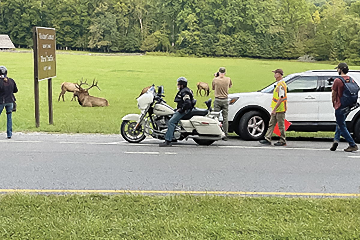 A volunteer, shown in a yellow vest, approaches park visitors as they view elk. NPS photo