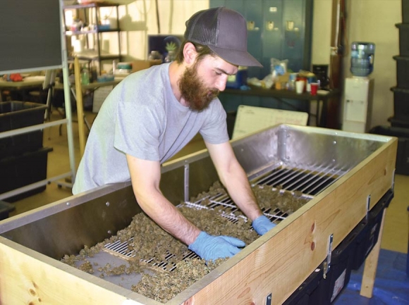 Noah Miller, assistant farmer manager, separates hemp buds through a sifter at Appalachian Growers. Jessi Stone photo