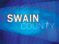 Loftis, Carson advance in Swain County Republican primary