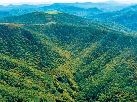 More land conserved at Highlands of Roan