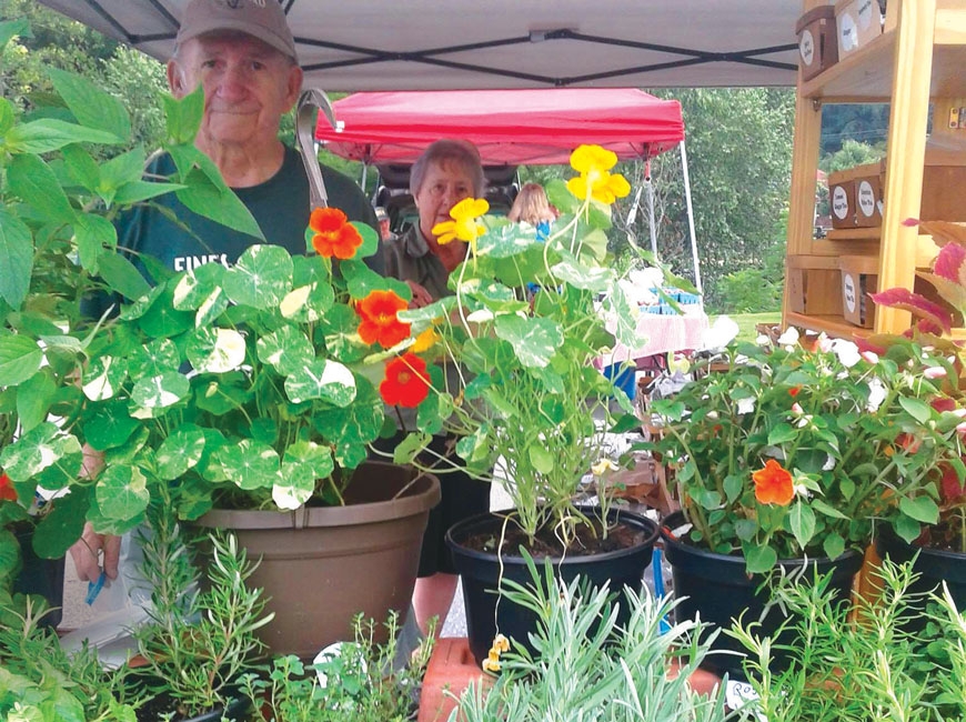 Walter and Joanne Meyers display a bounty of plants for sale during a pre-COVID farmers market. Donated photo