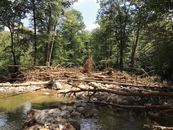 Log jams like this one on the upper Davidson River in the Pisgah National Forest could burst at any time, creating danger downstream. USFS photo