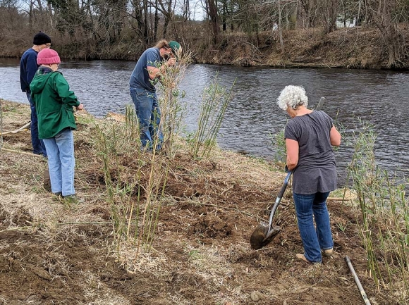 Volunteers work to install river cane at Rivers Edge Park in Clyde. Donated photo