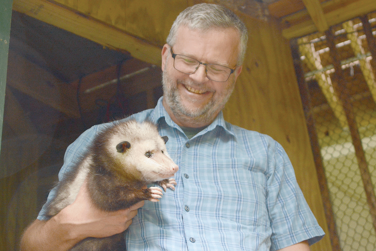 Wall holds Tillia, a Virginia opossum who is one of the Balsam Mountain Trust’s roster of animal ambassadors. Holly Kays photo