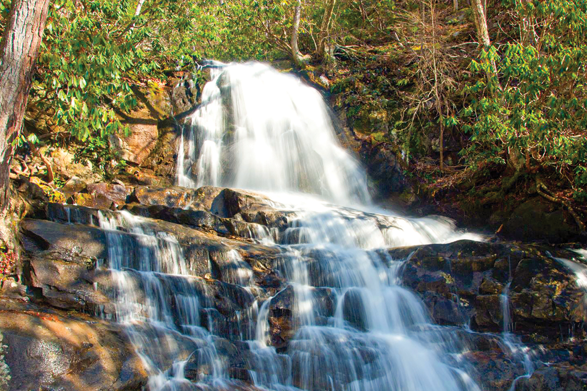 This conservation win adds almost a mile of protection to the East Fork of Overflow Creek, classified by North Carolina as an Outstanding Resource Water (ORW). Donated photo