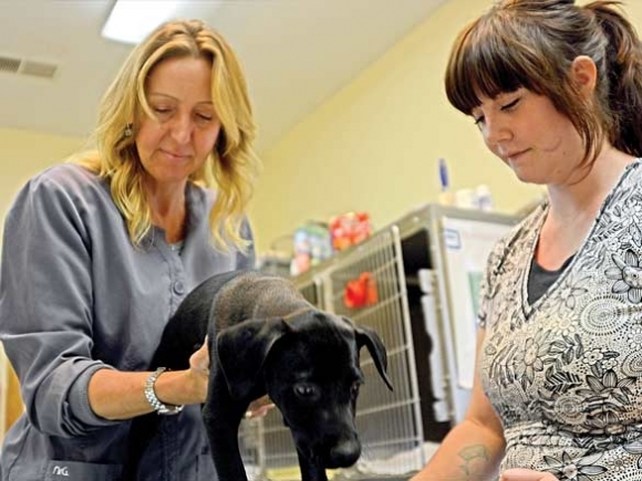 Rural animal care offers constant joy, constant challenge for vet clinic