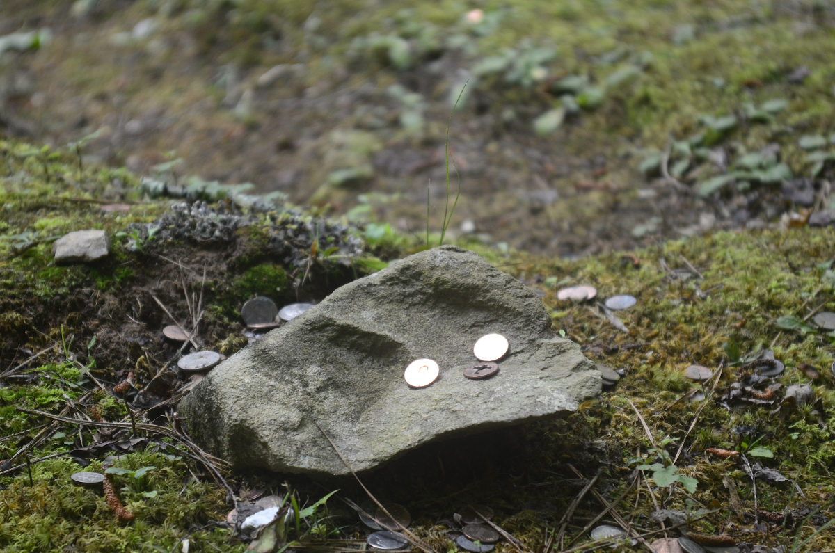 Coins left atop grave markers at Enloe Cemetery near Mingus Mill symbolize respect and visibility.