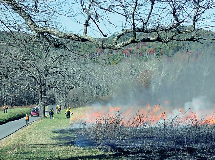 Firefighters conduct a prescribed burn in Cades Cove. NPS photo