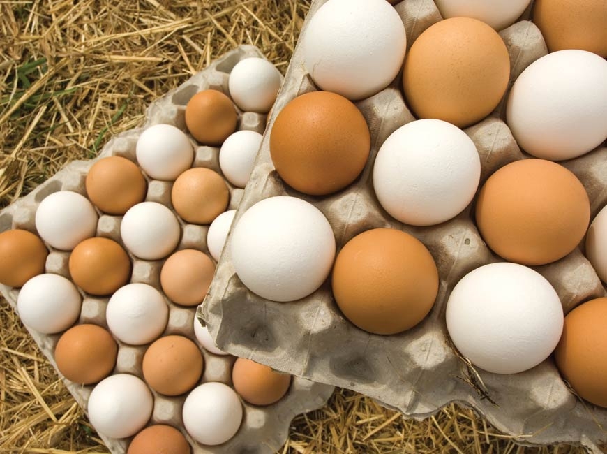 Sponsored: Are brown eggs healthier?