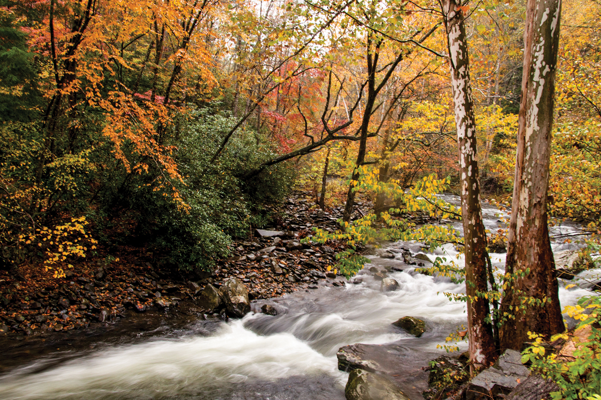 As fall foliage pops in the Smokies, the area sees a surge in visitors. 