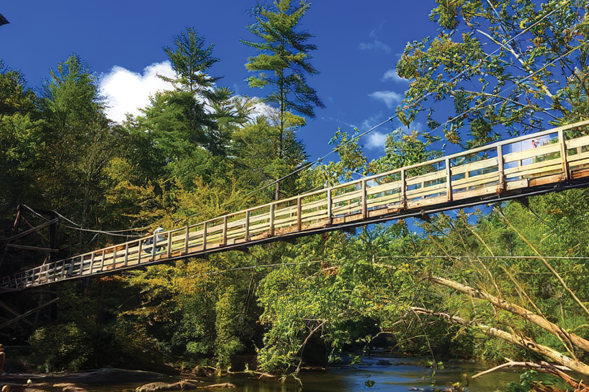 The Benton MacKaye Trail showcases some of the most diverse forests and scenic landscapes in the Southern Appalachians. 